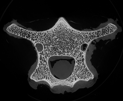 1626328111415991.png image.png