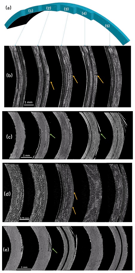 1627626945182669.jpg 1627626945182669.jpg