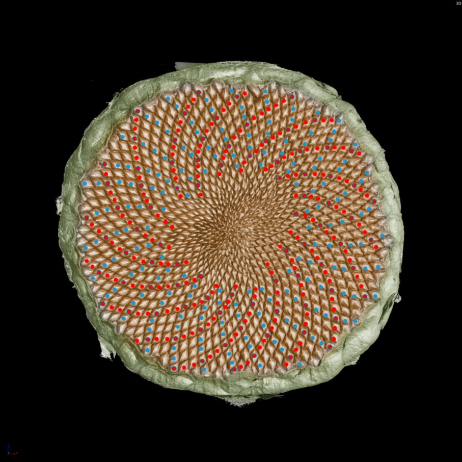 1637804019861964.jpg 1637804019861964.jpg