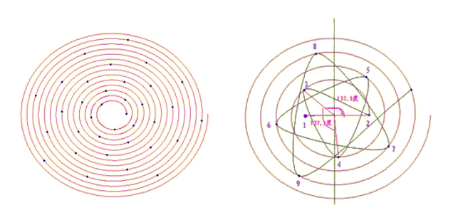 1637804325853688.png 1637804325853688.png