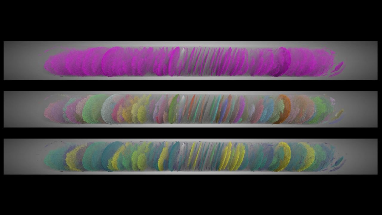 1732754982101081.jpg 1732754982101081.jpg