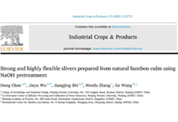 工業(yè)CT-植物CT